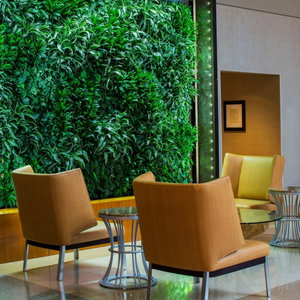 Hotel The Westin Jersey City Newport cazare Jersey City