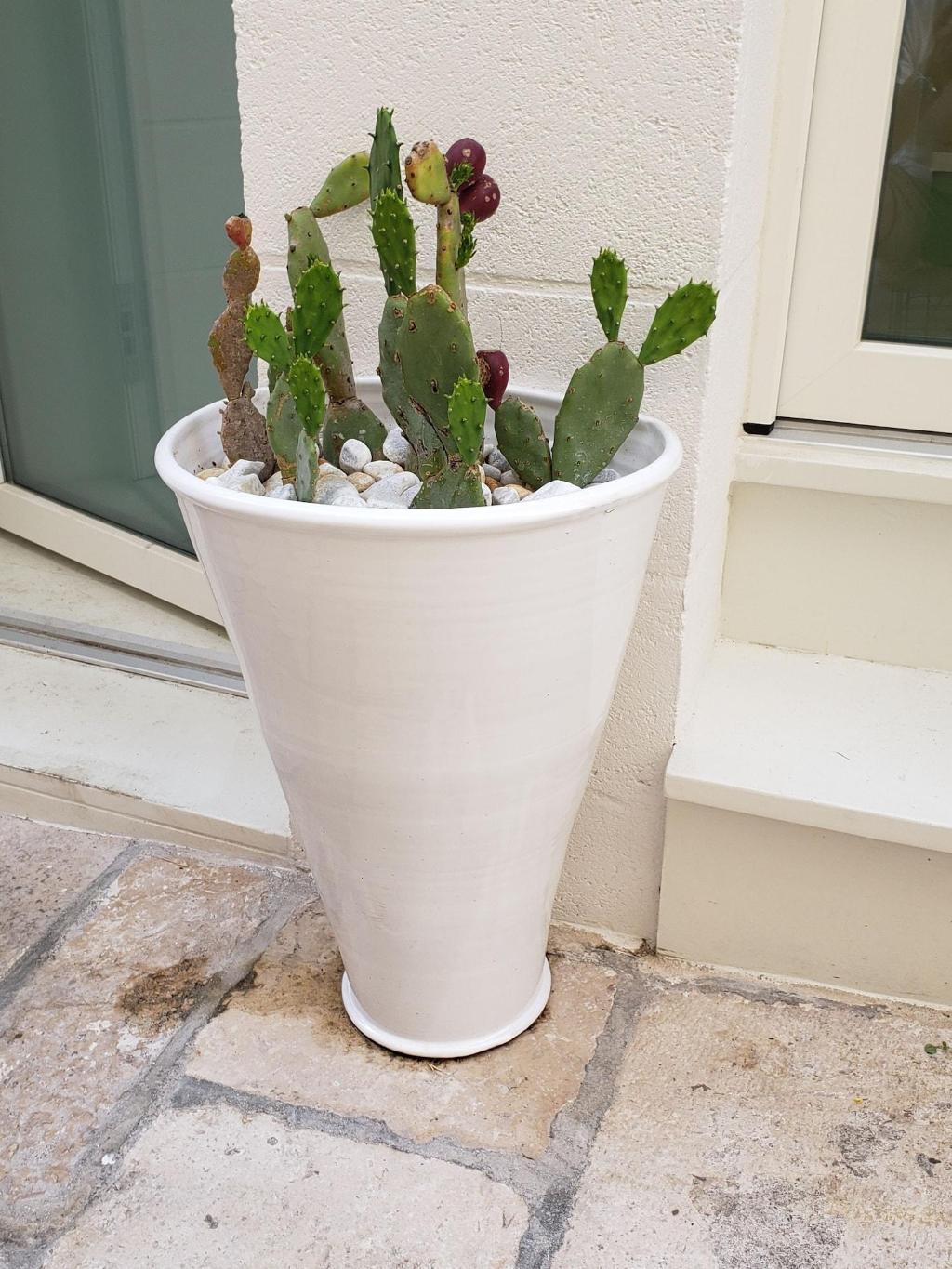 Hotel B&B Fico D'india