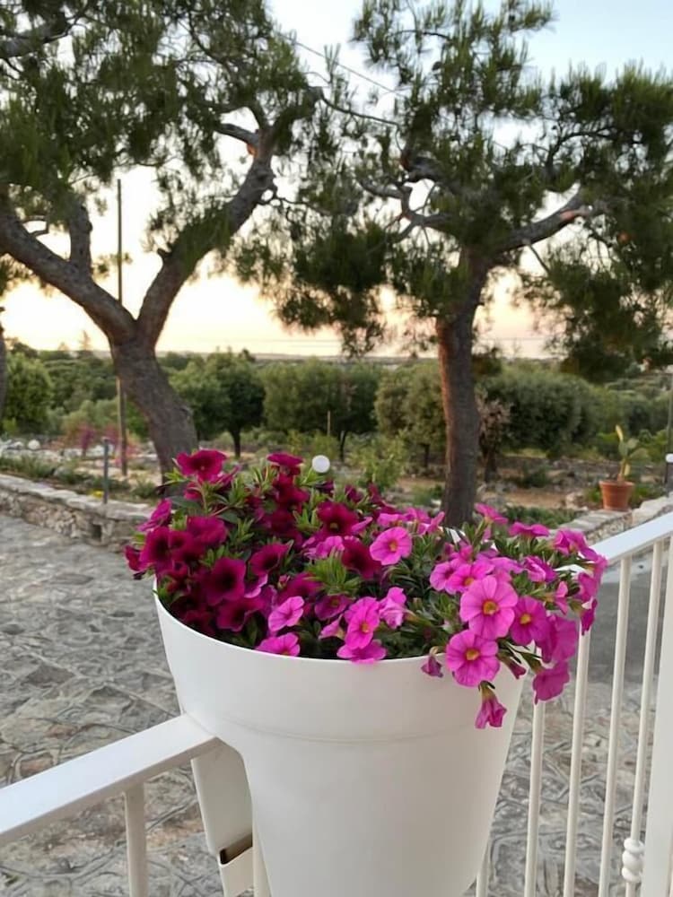 Hotel Monte Simeone B&B