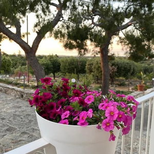 Hotel Monte Simeone B&B cazare Polignano a Mare