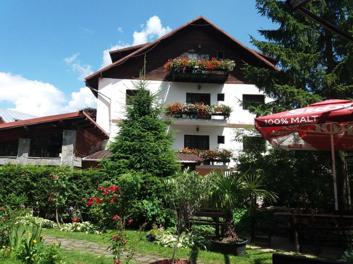 Hotel Pensiunea Liziera