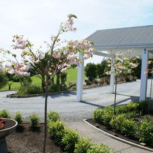 Hotel Woodhouse Mountain Lodge cazare Warkworth