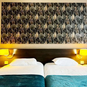 Hotel Brit Hotel Confort Gien cazare Gien