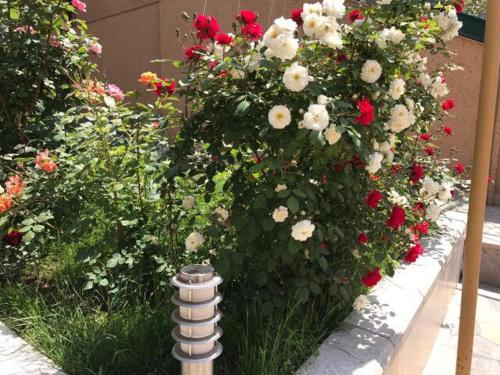 Hotel Comfort House Hotel