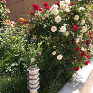 Hotel Comfort House Hotel cazare Yerevan