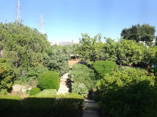 Hotel The Orange Groove