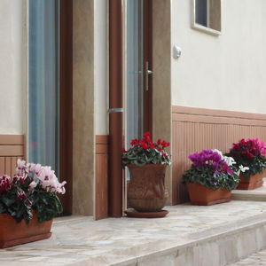 Hotel Bed And Breakfast Villa Dafne cazare Bari