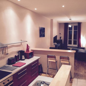 Hotel Appartement Lyon Villeurbanne cazare Lyon