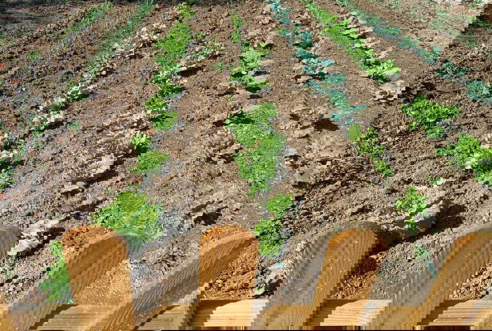 Hotel Tottam Art & Healthy Garden