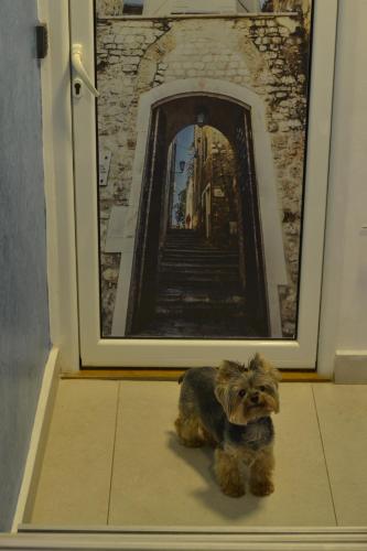 Guest House Kuca Radovic