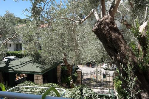 Guest House Kuca Radovic