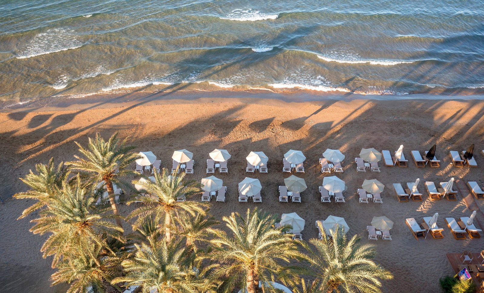 dal travel Zeus Hotels Palm Beach