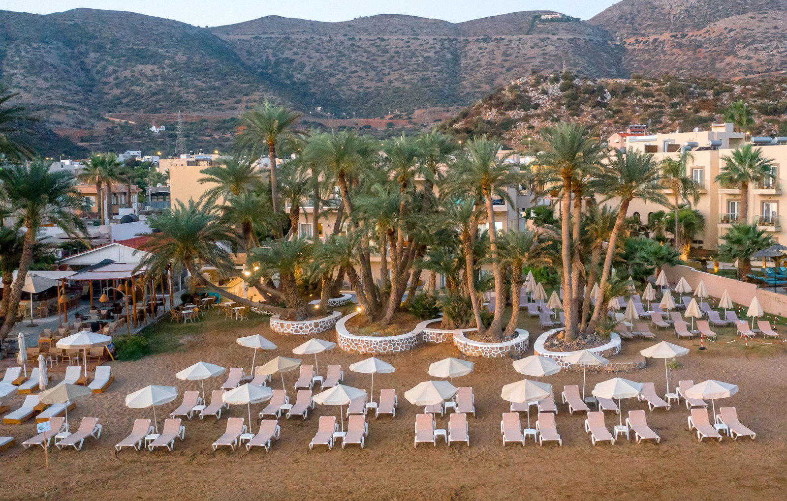 dal travel Zeus Hotels Palm Beach