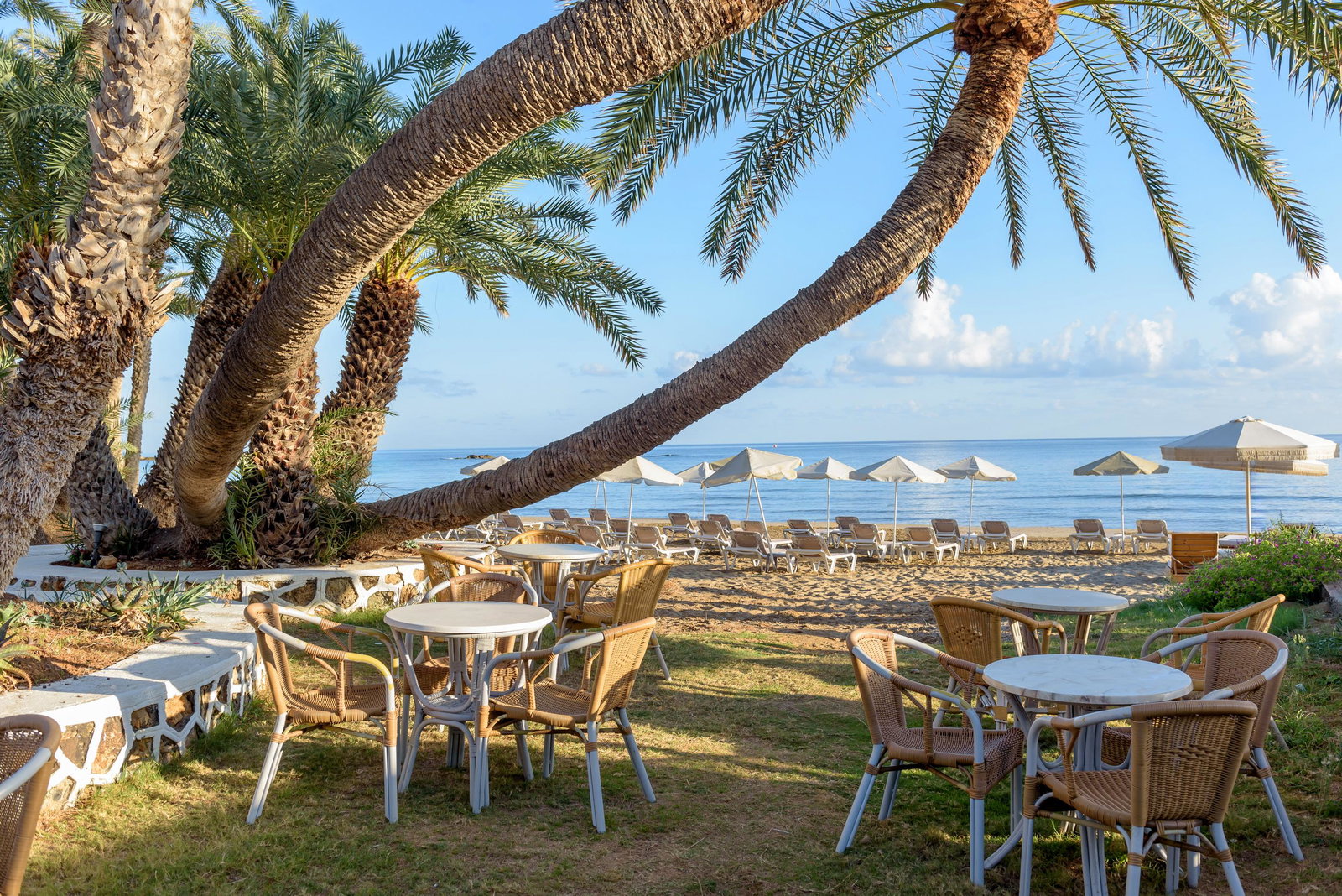 dal travel Zeus Hotels Palm Beach