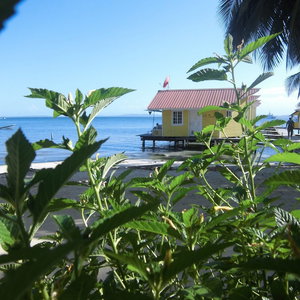 Hotel Kevin Condos cazare Bocas del Toro