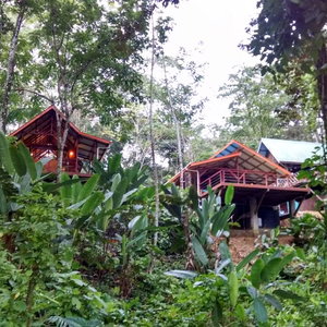 Hotel Surf Break@Paunch cazare Bocas del Toro