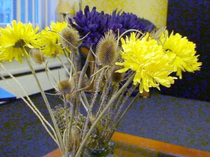 4 Stars Magheru Studio