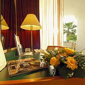 Hotel Hotel Nettuno cazare Bardolino