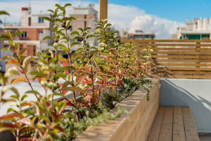 Hotel Executive Apartment With Private Terrace-D cazare Piraeus