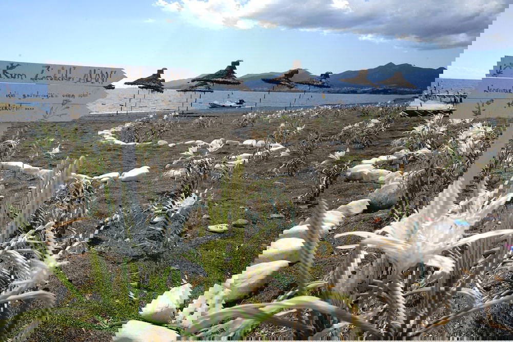 Hotel Flow Datca Surf And Beach Hotel