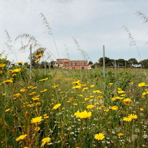 Sejur Tenuta Petra Bianca vacanta Palau