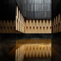 Hotel Hoshinoya Tokyo cazare Tokyo