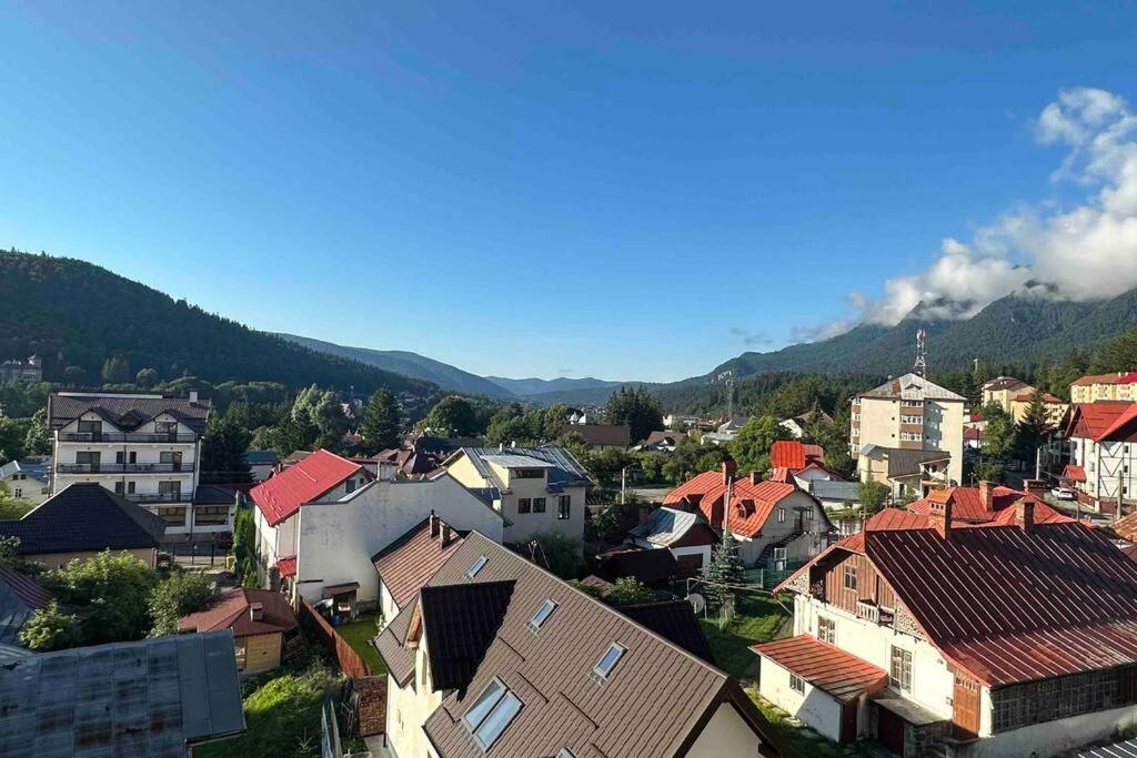 Mountain Valley View