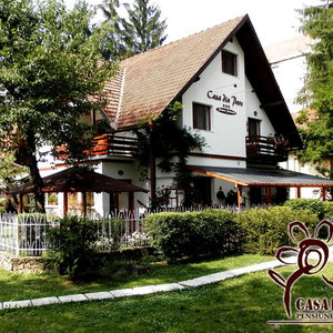 Hotel Casa Din Parc cazare Covasna