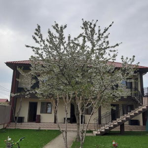 Hotel La Babusca cazare Mangalia