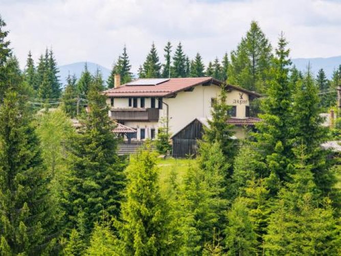 Hotel Pensiunea Vis Alpin Belis