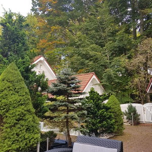 Hotel Boutique Hotel Club Austria cazare Busteni
