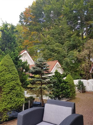 Hotel Boutique Hotel Club Austria cazare Busteni
