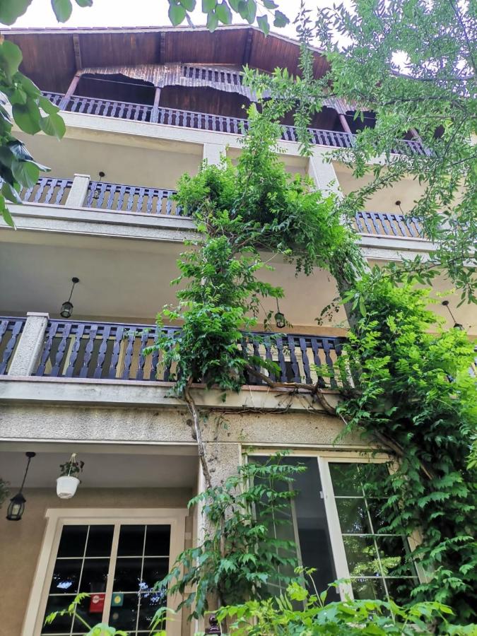 Hotel Vila Cristal Costinesti