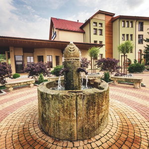 Hotel Hotel Medical Spa Malinowy Dwór cazare Swieradow-Zdroj