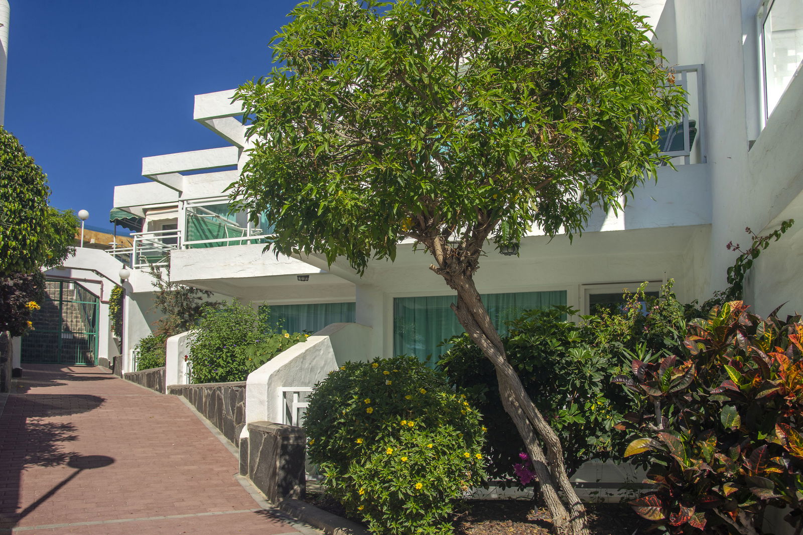 Hotel Acapulco Ocean View