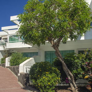 Hotel Acapulco Ocean View cazare San Agustin