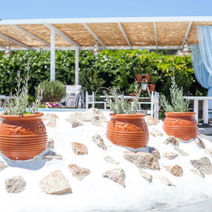 Sejur Tinas Plus Hotel vacanta Faliraki