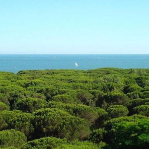 Hotel President cazare Cervia