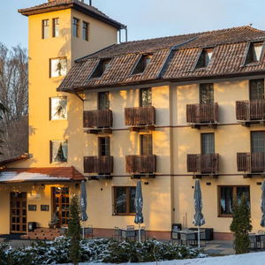 Hotel Vila Parc cazare Sovata