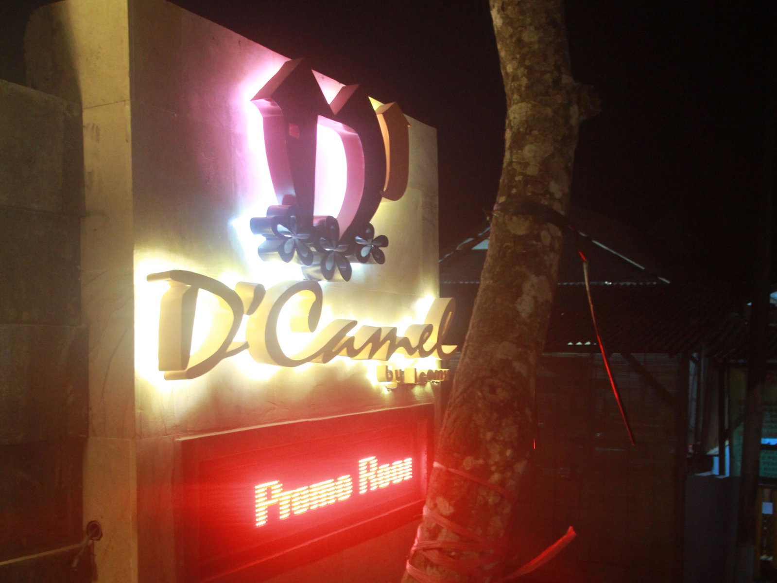 Hotel D'camel Hotel Lembongan