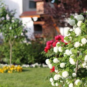 Hotel Casa Jasmine cazare Brasov