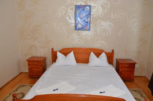 Hotel Panoramic Cetatuie