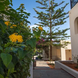 Sejur Anastasia Hotel vacanta Stalis