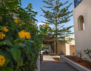 Hotel Anastasia Hotel cazare Stalis