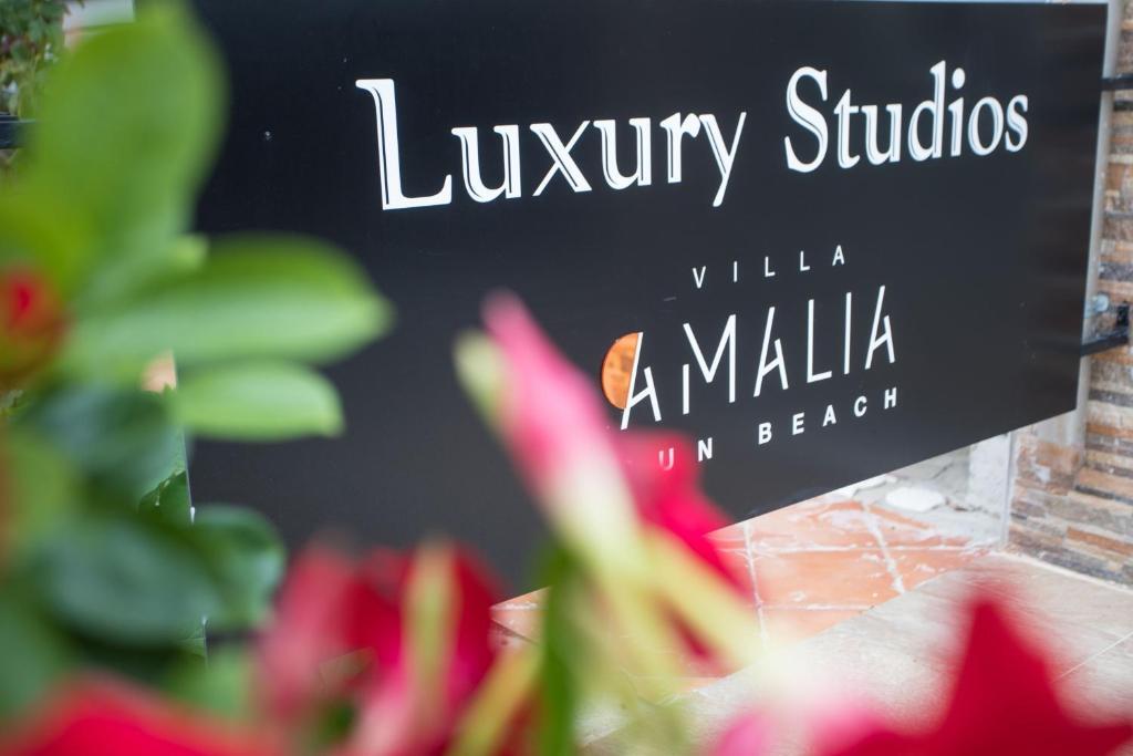 Hotel Villa Amalia Sun Beach