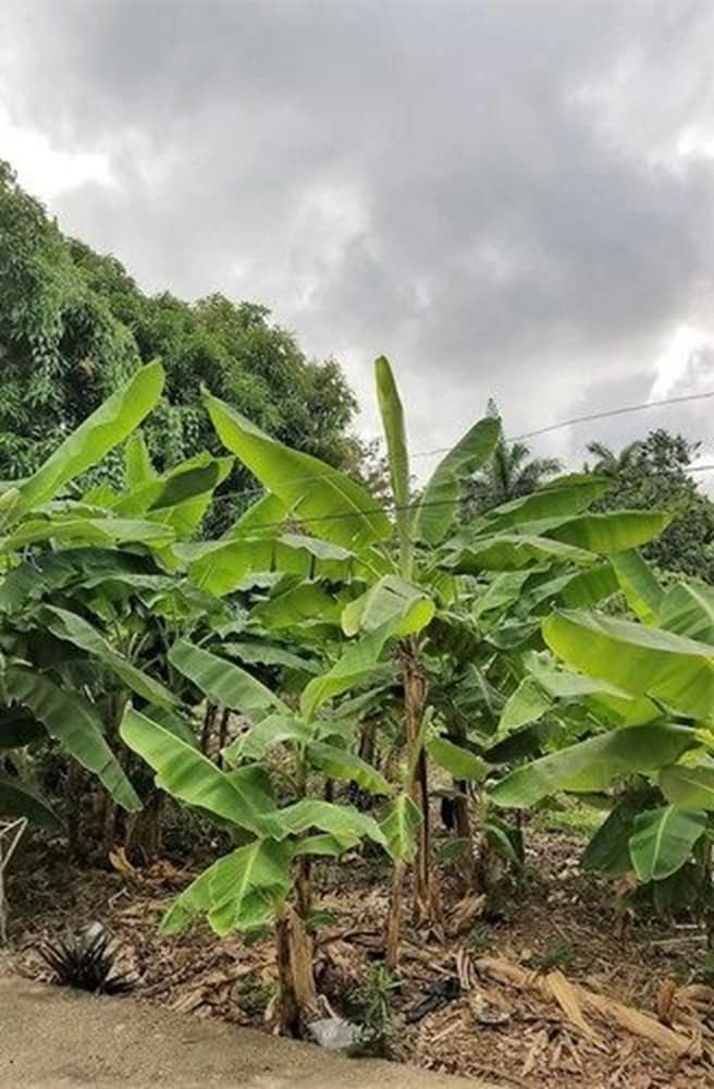 Hotel Marantha Close