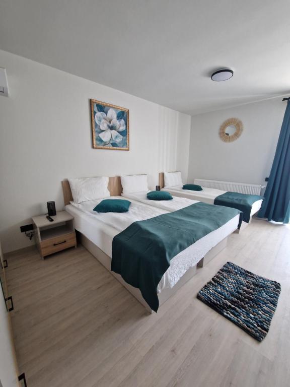 Sunny Family Vila Constanta