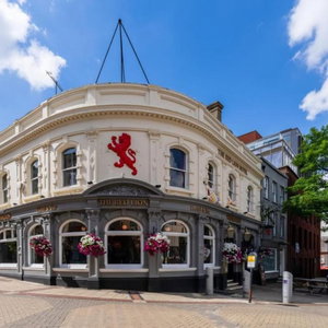Hotel Oyo The Red Lion Hotel cazare Luton