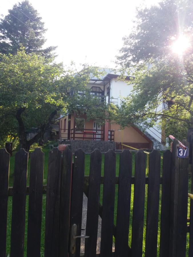 Apartament Potecuta Ursului