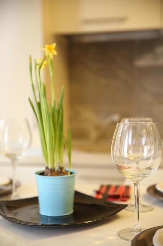 Bucharest Central Apartment